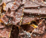 Matzo Bark