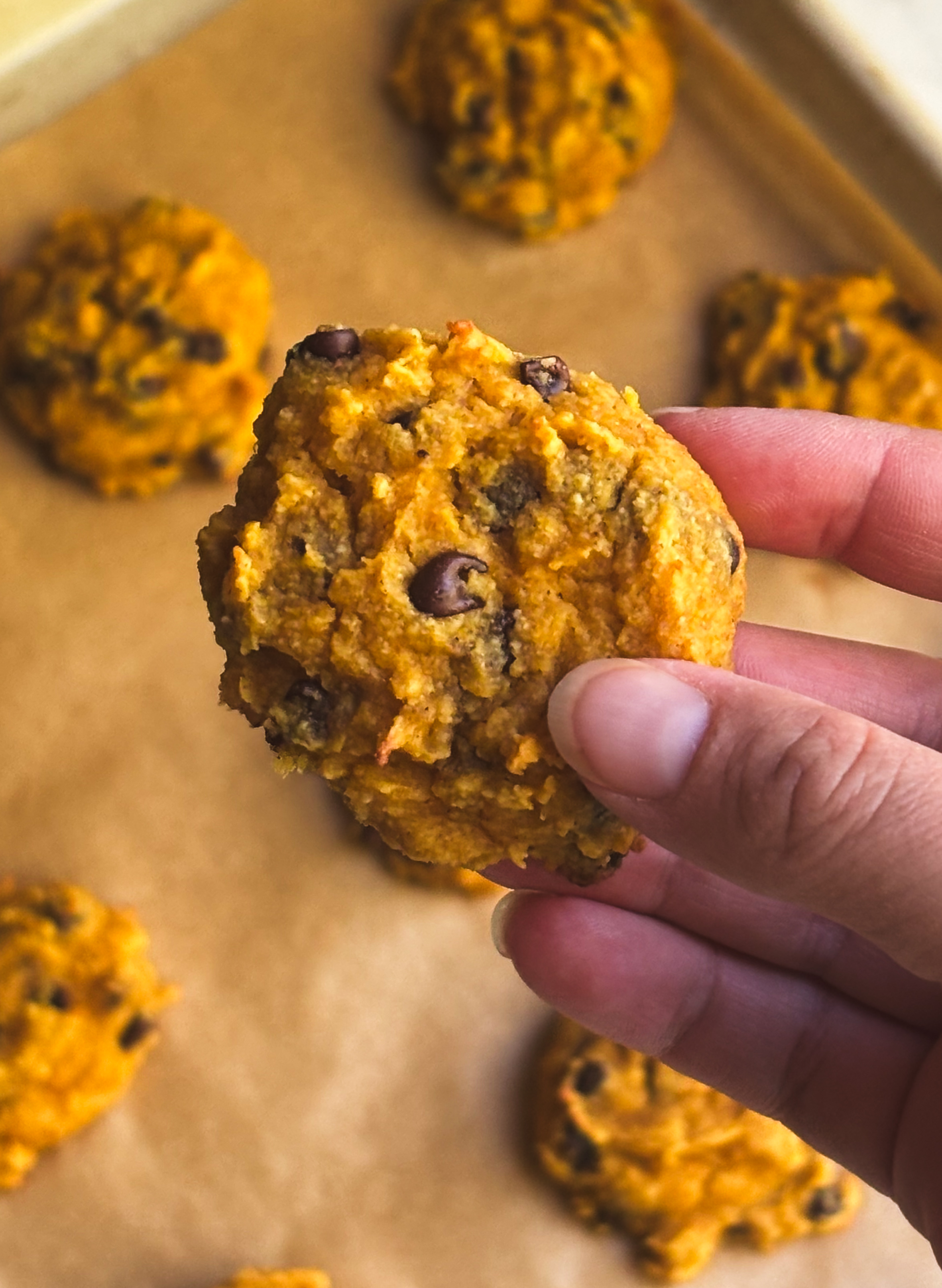 Breakfast Banana and Pumpkin Cookies